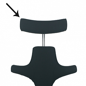 Lisez-en plus sur Capisco Option Headrest