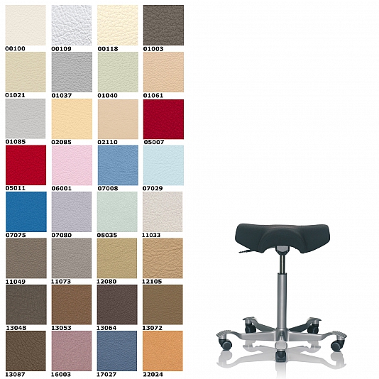 HAG8105_ElmoLeather_HAG Capisco 8105 Leder Elmosoft colour cart